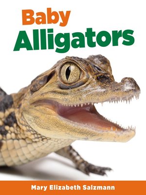 cover image of Baby Alligators